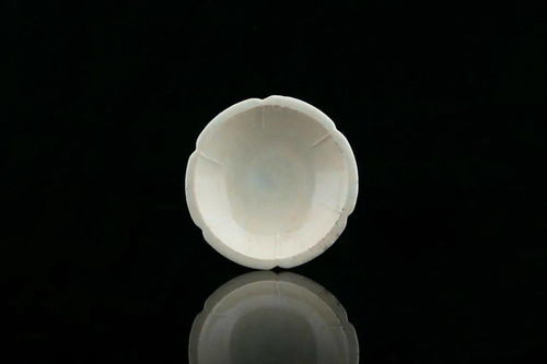 宋代不可低估的陶瓷產(chǎn)品,原來(lái)是這一類(lèi) 大肉莊 微拍堂 第二期